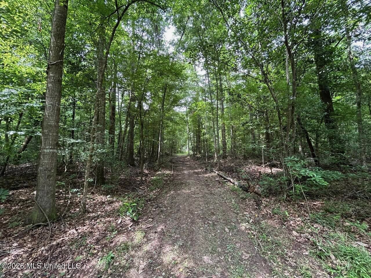 113± Acres for Sale in Osyka, MS on Tickfaw River