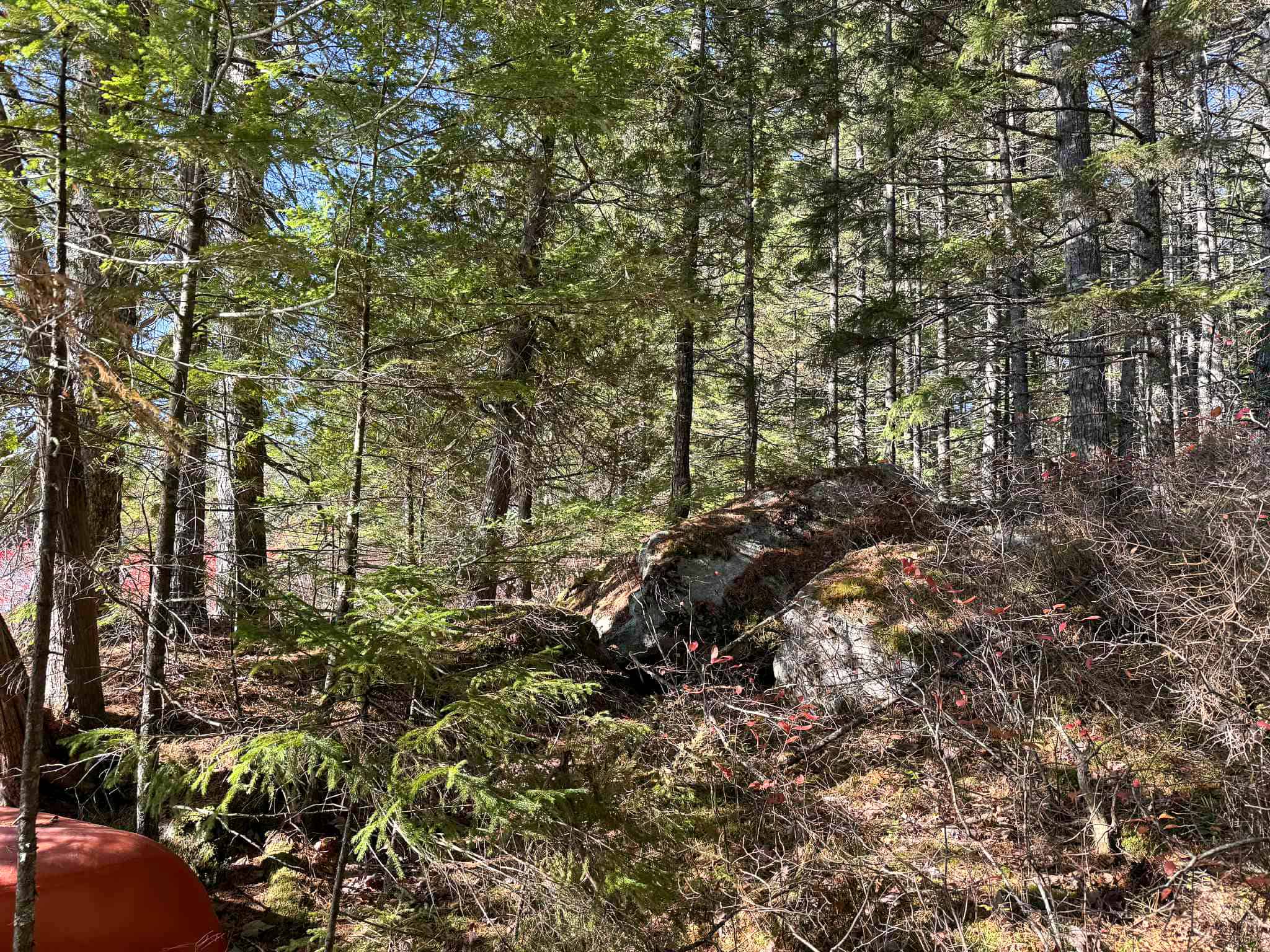 41 Acres with 1330 Ft on Long Lake – Northfield, ME