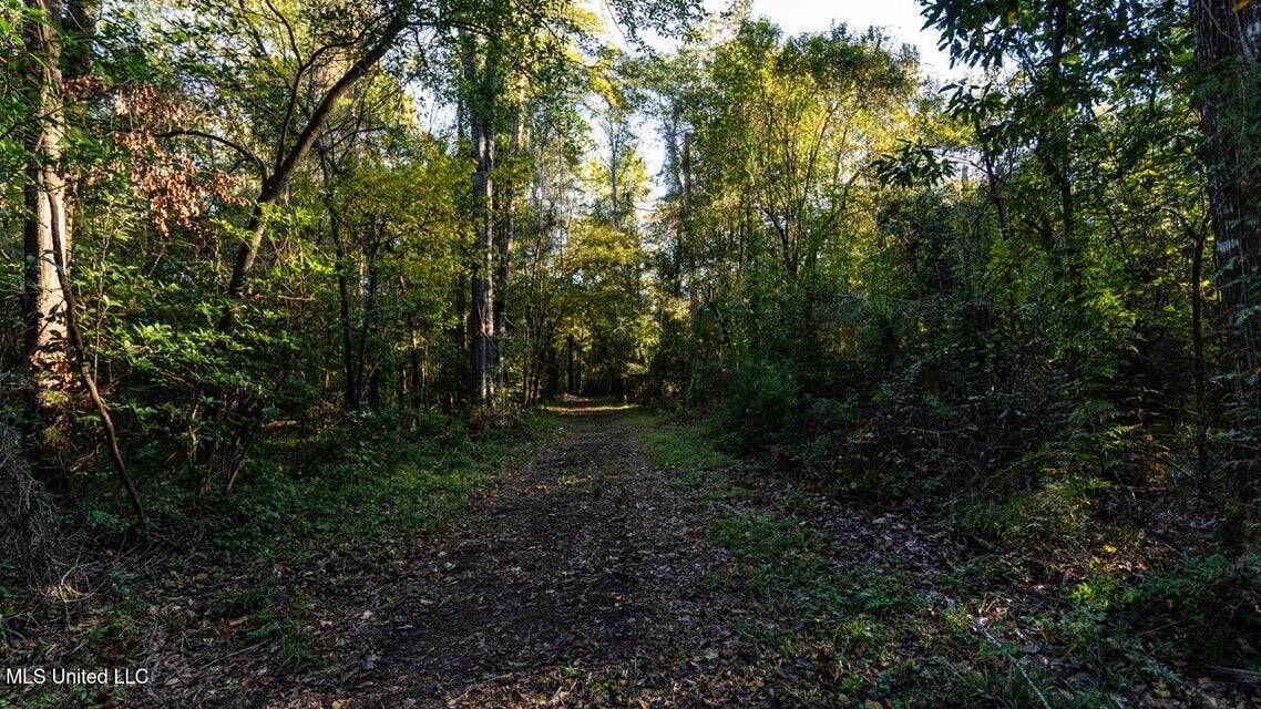 233-Acre Paradise on the Tickfaw River, Osyka, Amite County, MS