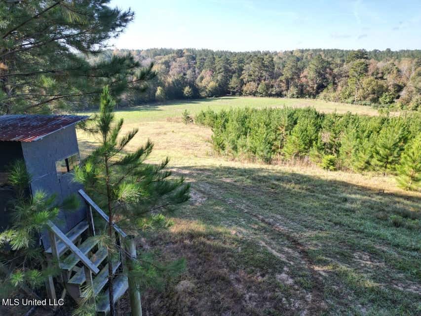 Hunting Land for Sale in Amite County, Mississippi