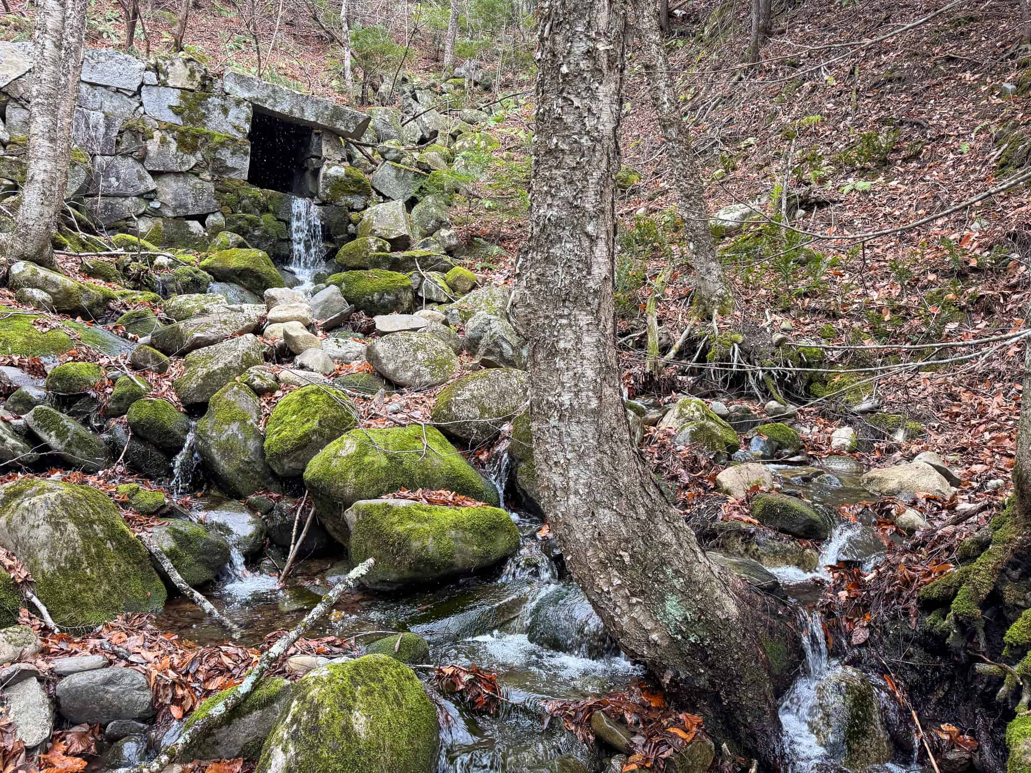 82 Acres with a Mountain View – Strong, Maine