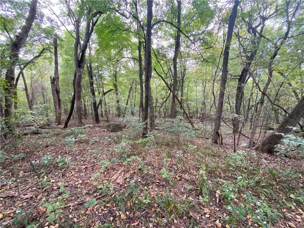 39.75 Newton County Hunting Land/Timber Property For Sale Low Gap