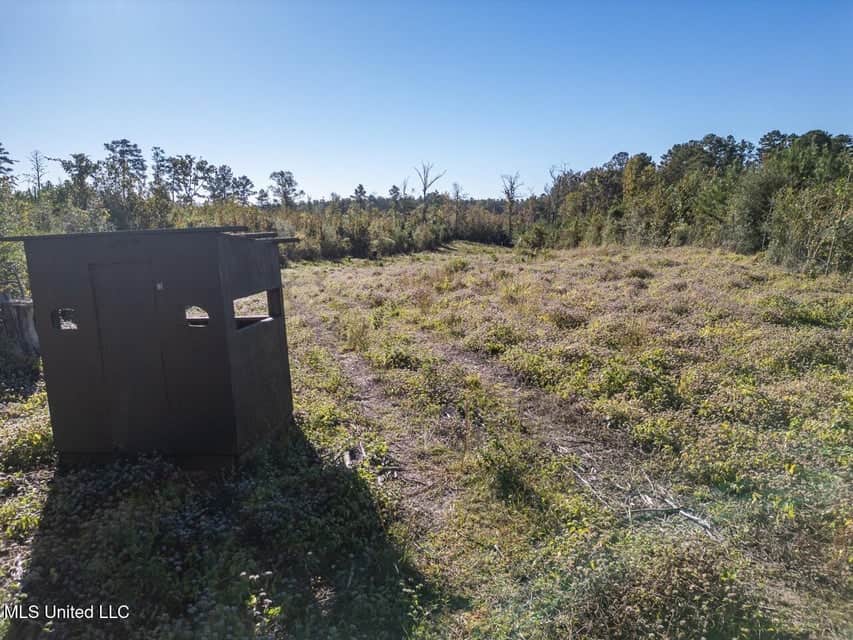 113 Acres of Hunting Land in Liberty, Mississippi