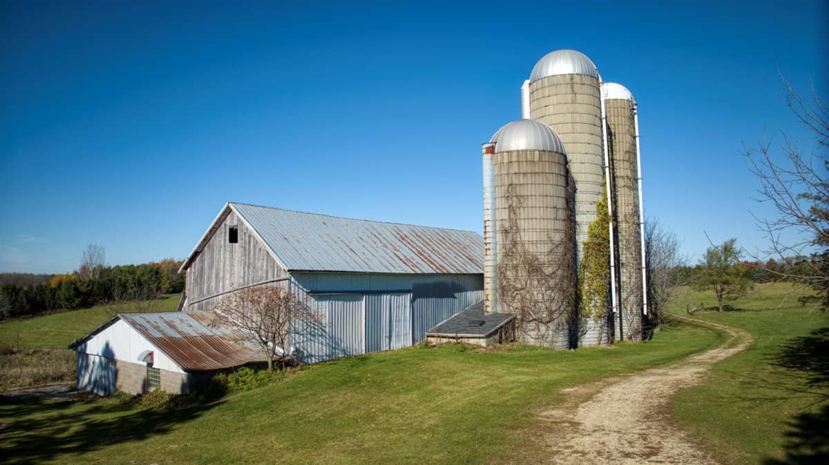 Windy Ridge – Conservation Homestead – 187 ± Acres in Monroe County’s Driftless Area of Wisconsin