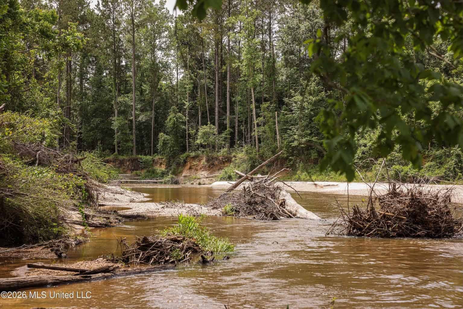108+- Acres on the Bogue Chitto River Summit, Mississippi