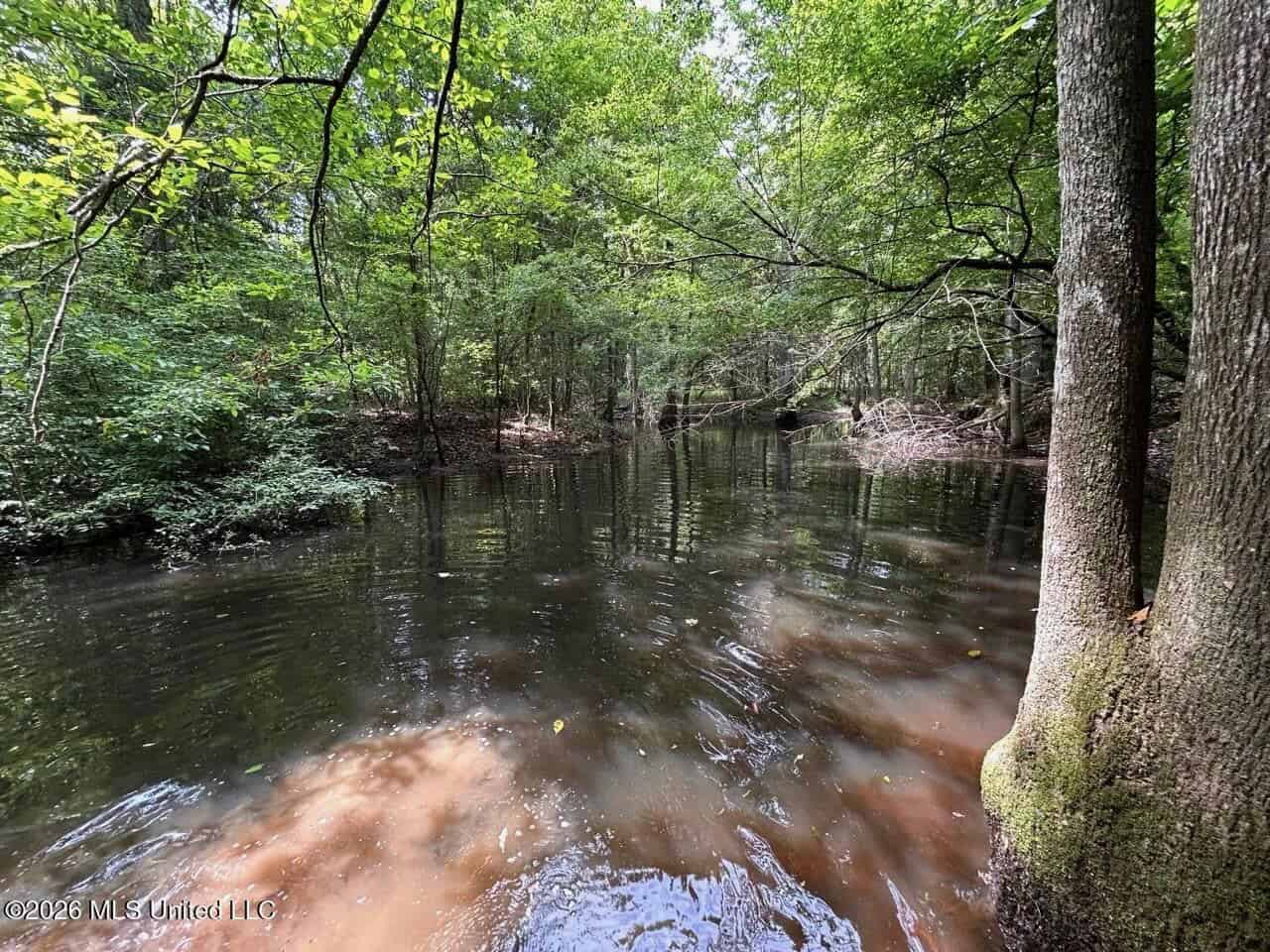 113± Acres for Sale in Osyka, MS on Tickfaw River