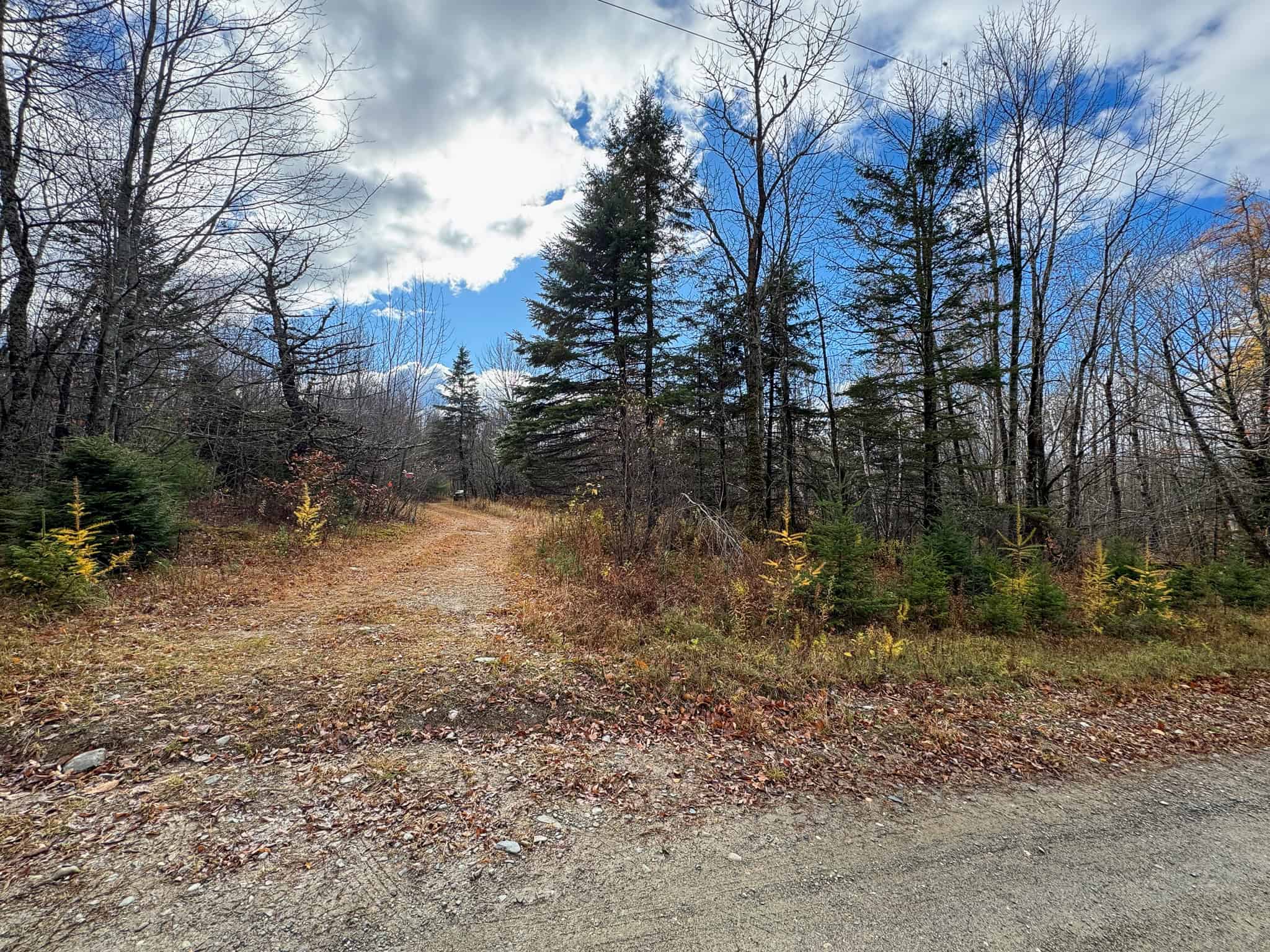 Peaceful Log Cabin Retreat with 128.8 Acres