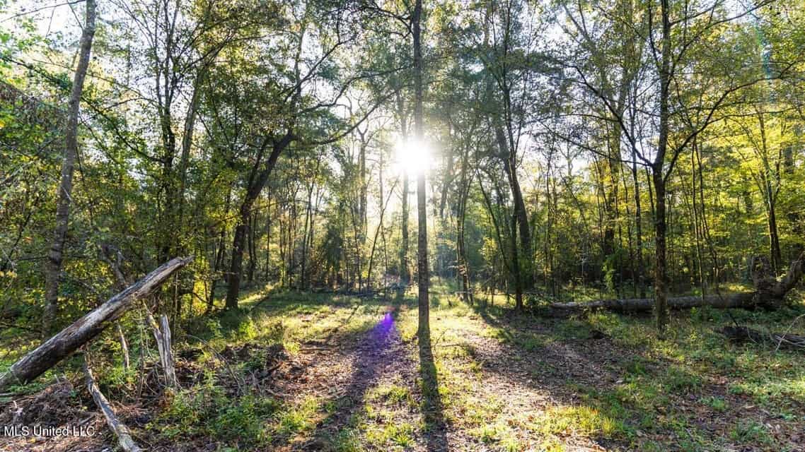 233-Acre Paradise on the Tickfaw River, Osyka, Amite County, MS
