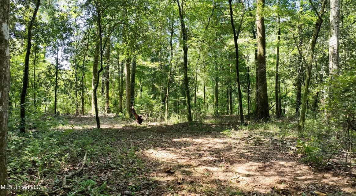 108+- Acres on the Bogue Chitto River Summit, Mississippi