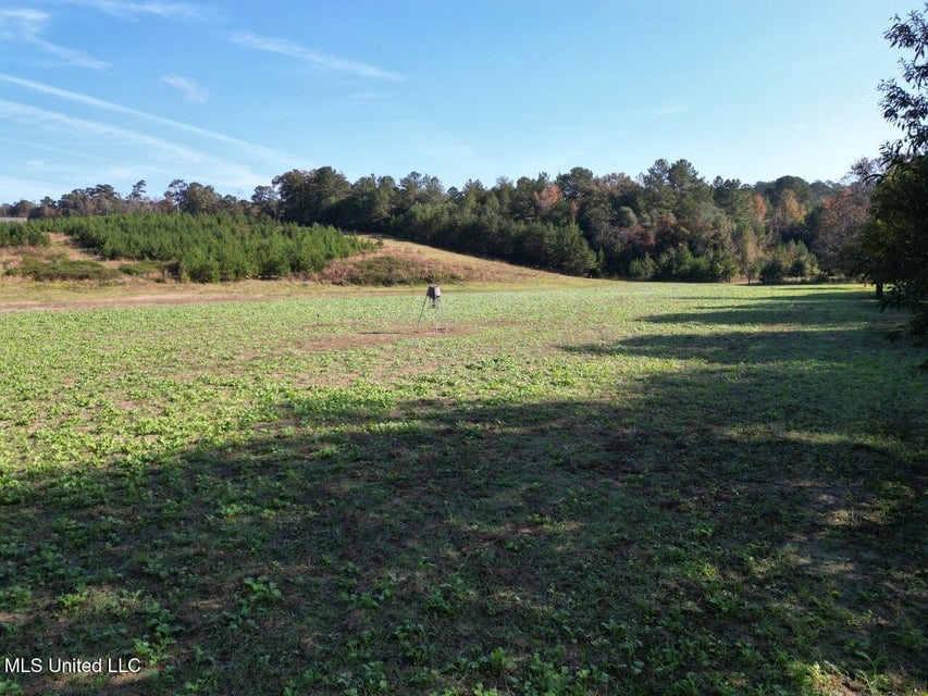Hunting Land for Sale in Amite County, Mississippi