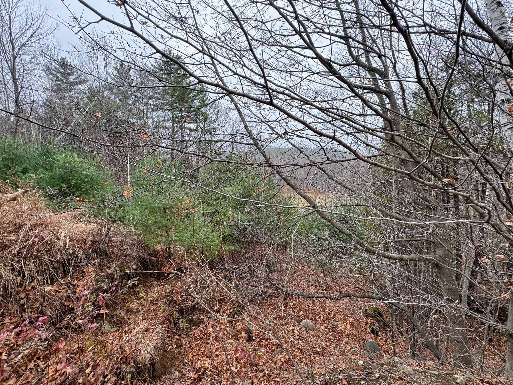 82 Acres with a Mountain View – Strong, Maine