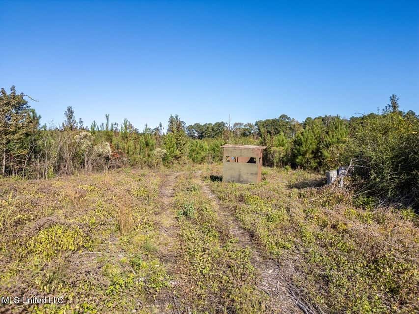 113 Acres of Hunting Land in Liberty, Mississippi