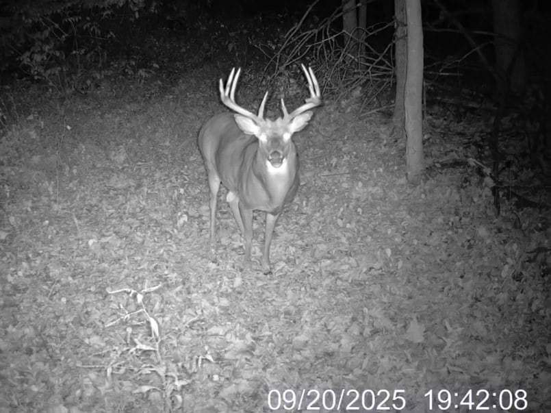 Windy Ridge – Conservation Homestead – 187 ± Acres in Monroe County’s Driftless Area of Wisconsin