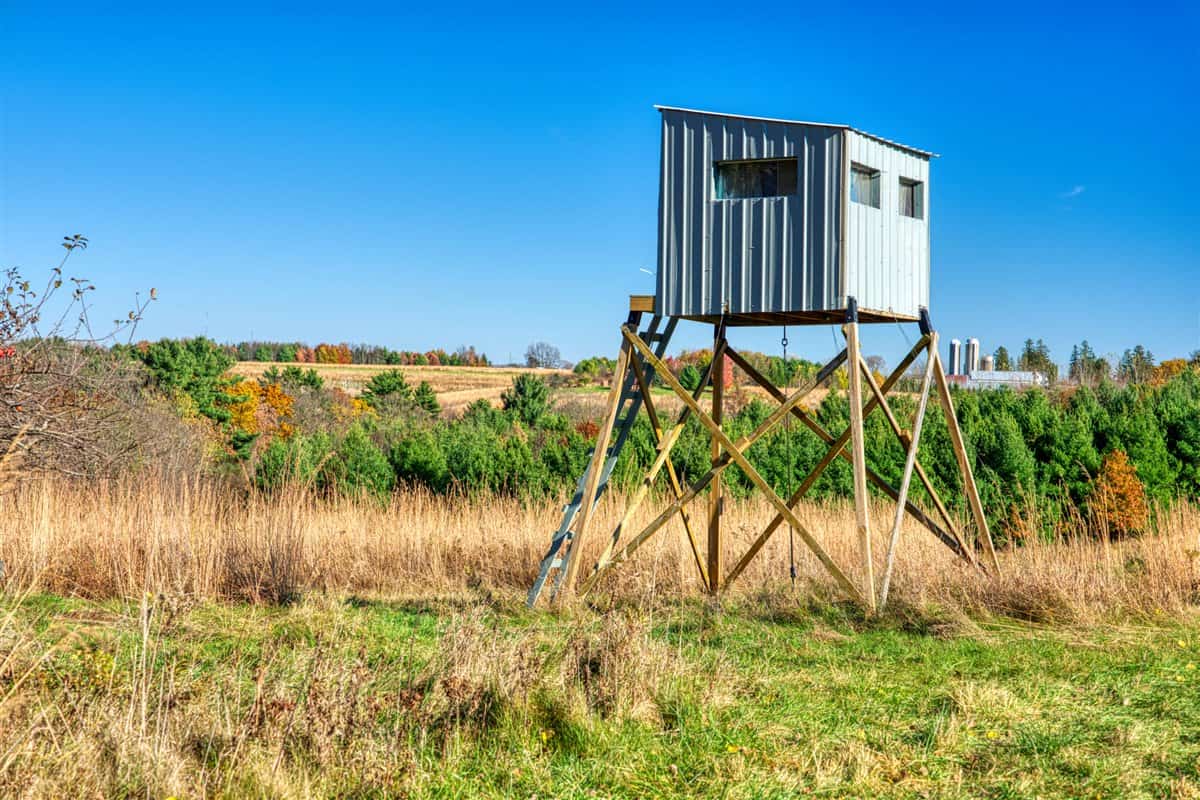 Windy Ridge – Conservation Homestead – 187 ± Acres in Monroe County’s Driftless Area of Wisconsin