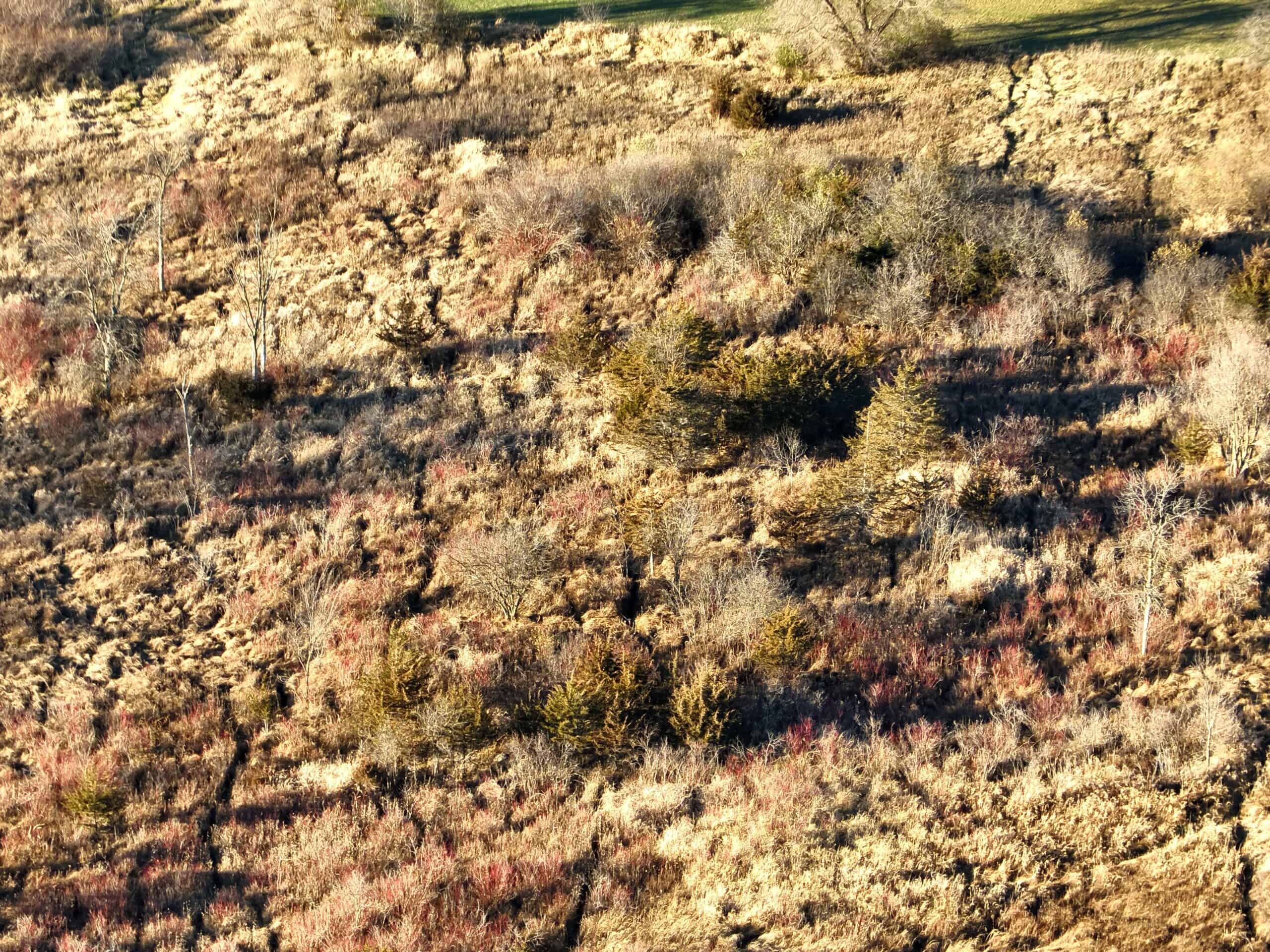 Truly Remarkable Parcel of Hunting Land Green Lake, WI