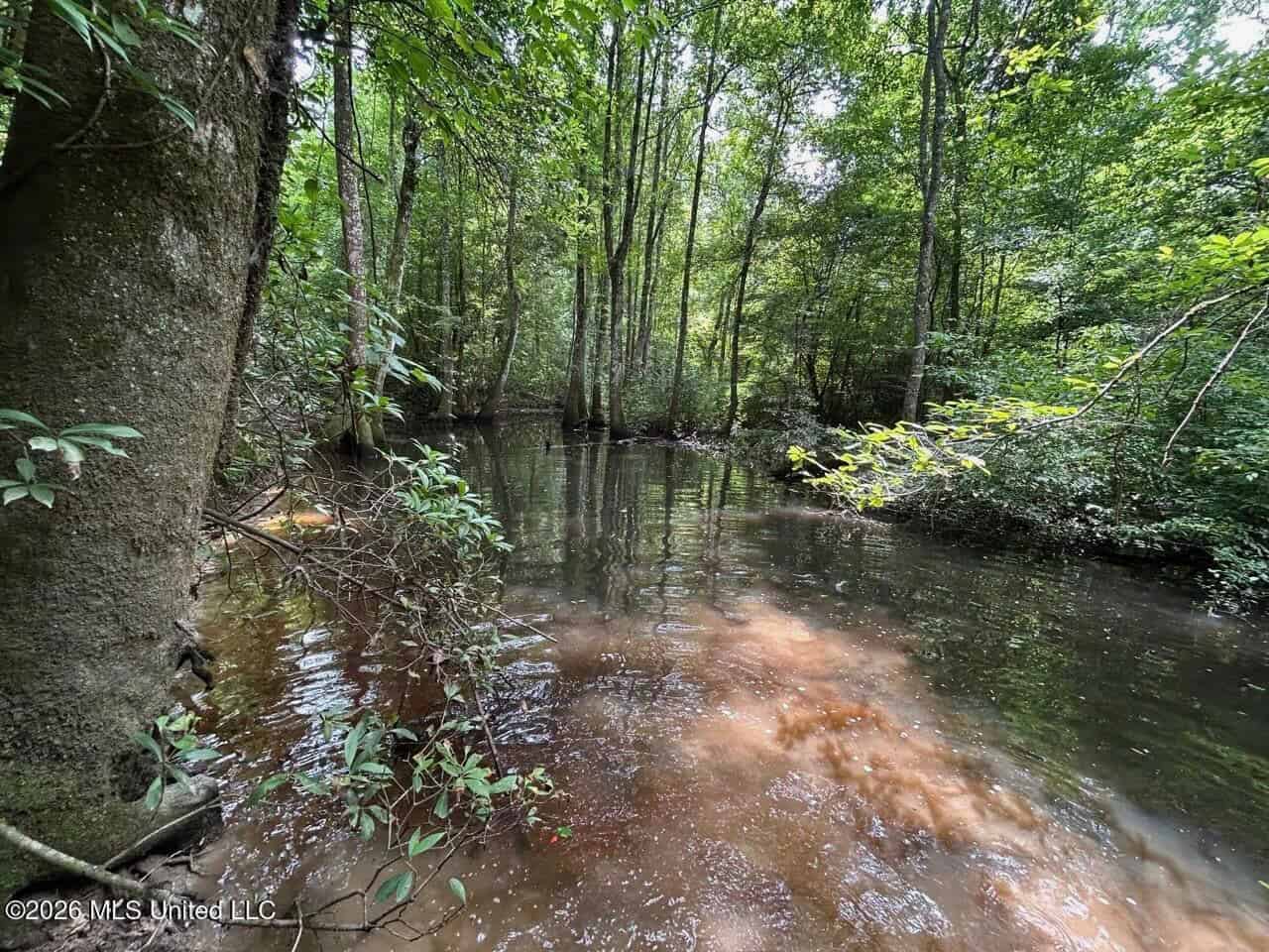 113± Acres for Sale in Osyka, MS on Tickfaw River