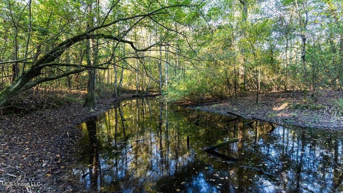 233-Acre Paradise on the Tickfaw River, Osyka, Amite County, MS
