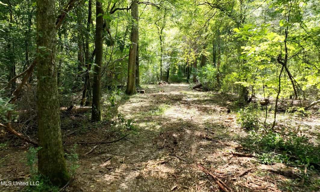 108+- Acres on the Bogue Chitto River Summit, Mississippi