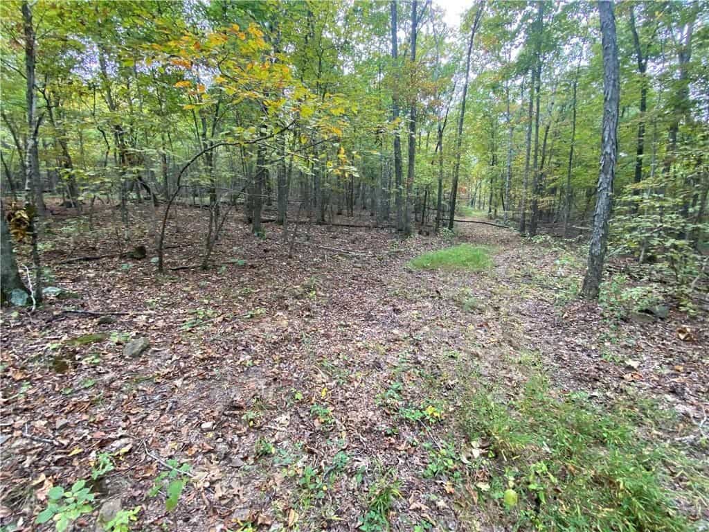 39.75 Newton County Hunting Land/Timber Property For Sale Low Gap