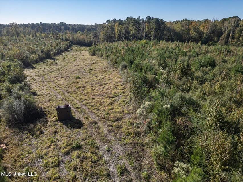 113 Acres of Hunting Land in Liberty, Mississippi