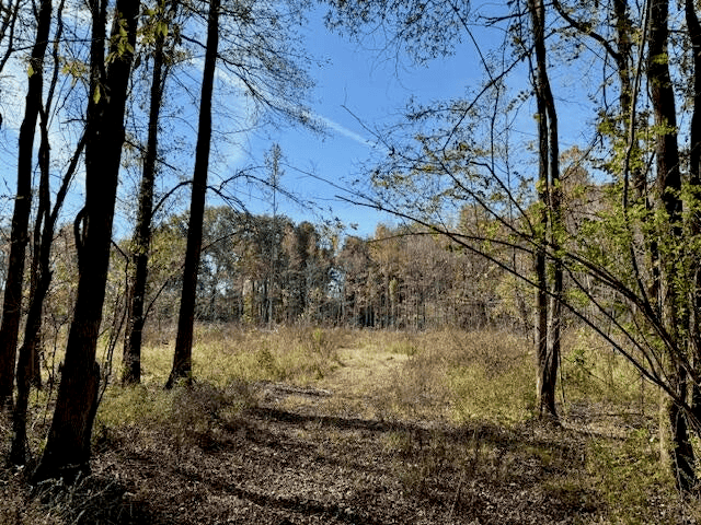 76 Acres For Sale Clay County MS
