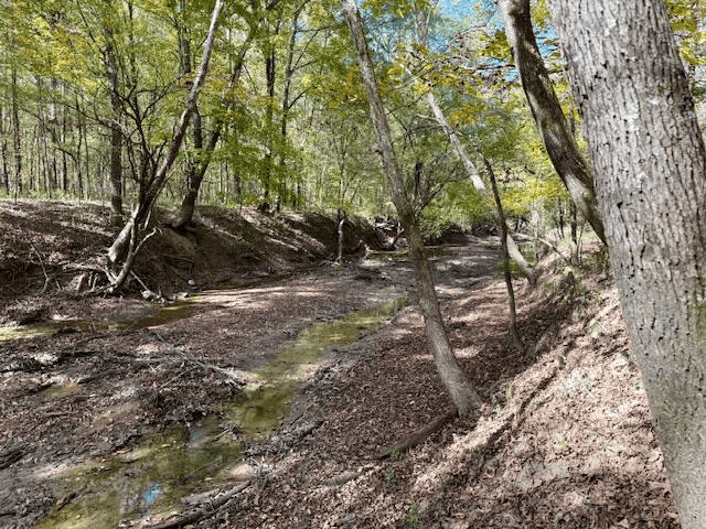 158.8 Acres Creek Frontage Clay County MS