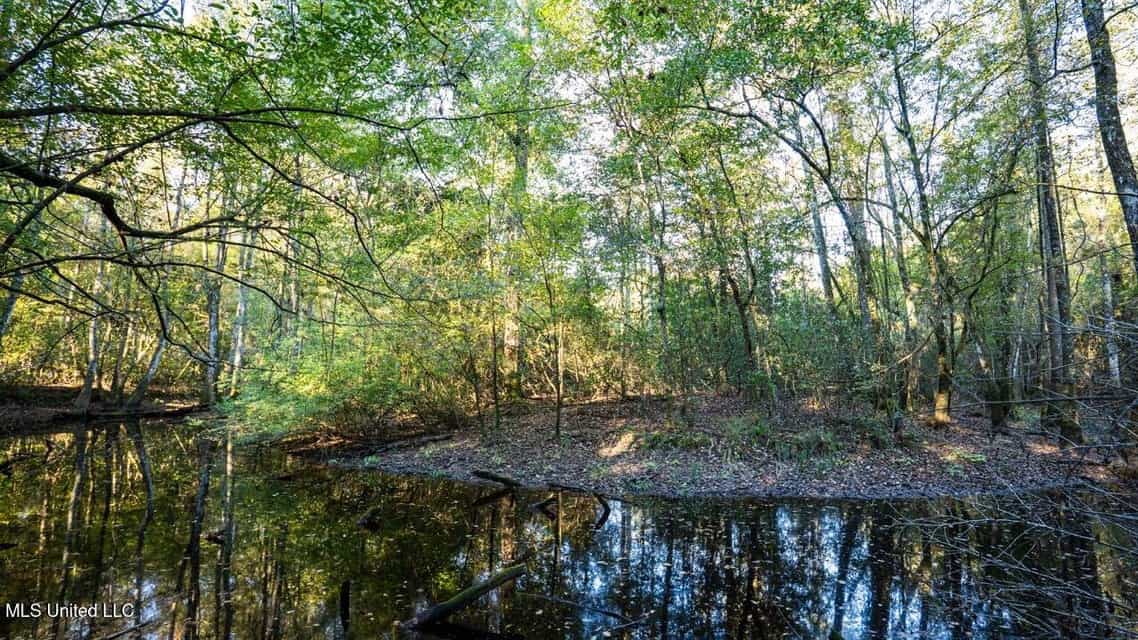 233-Acre Paradise on the Tickfaw River, Osyka, Amite County, MS