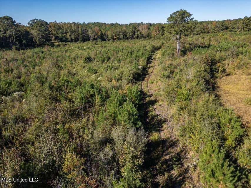113 Acres of Hunting Land in Liberty, Mississippi