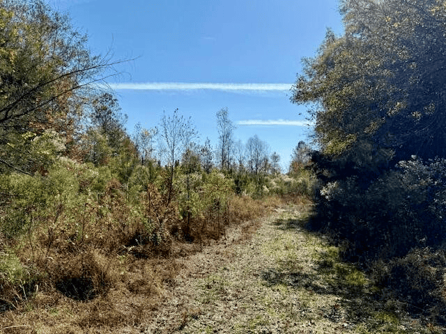 76 Acres For Sale Clay County MS