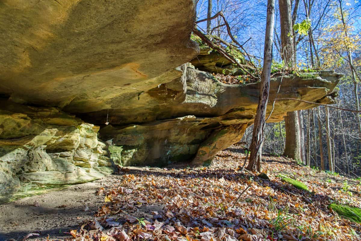 Windy Ridge – Conservation Homestead – 187 ± Acres in Monroe County’s Driftless Area of Wisconsin