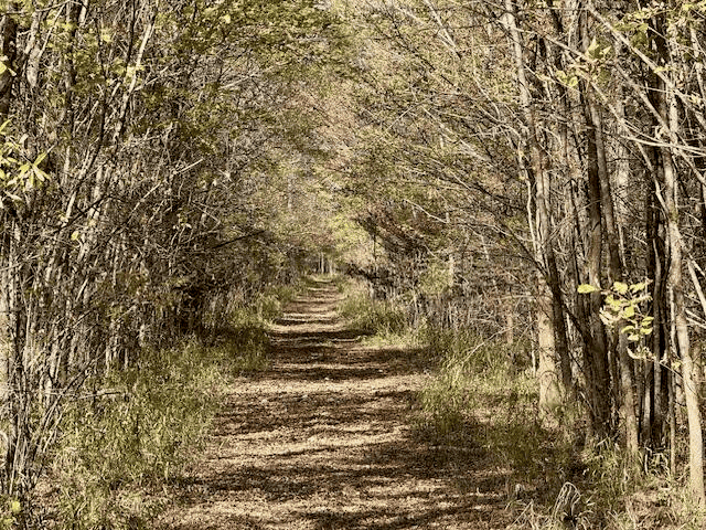 158.8 Acres Creek Frontage Clay County MS