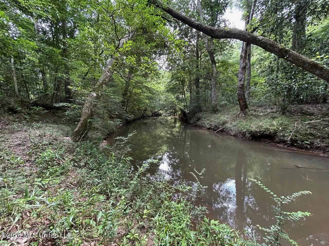 113± Acres for Sale in Osyka, MS on Tickfaw River
