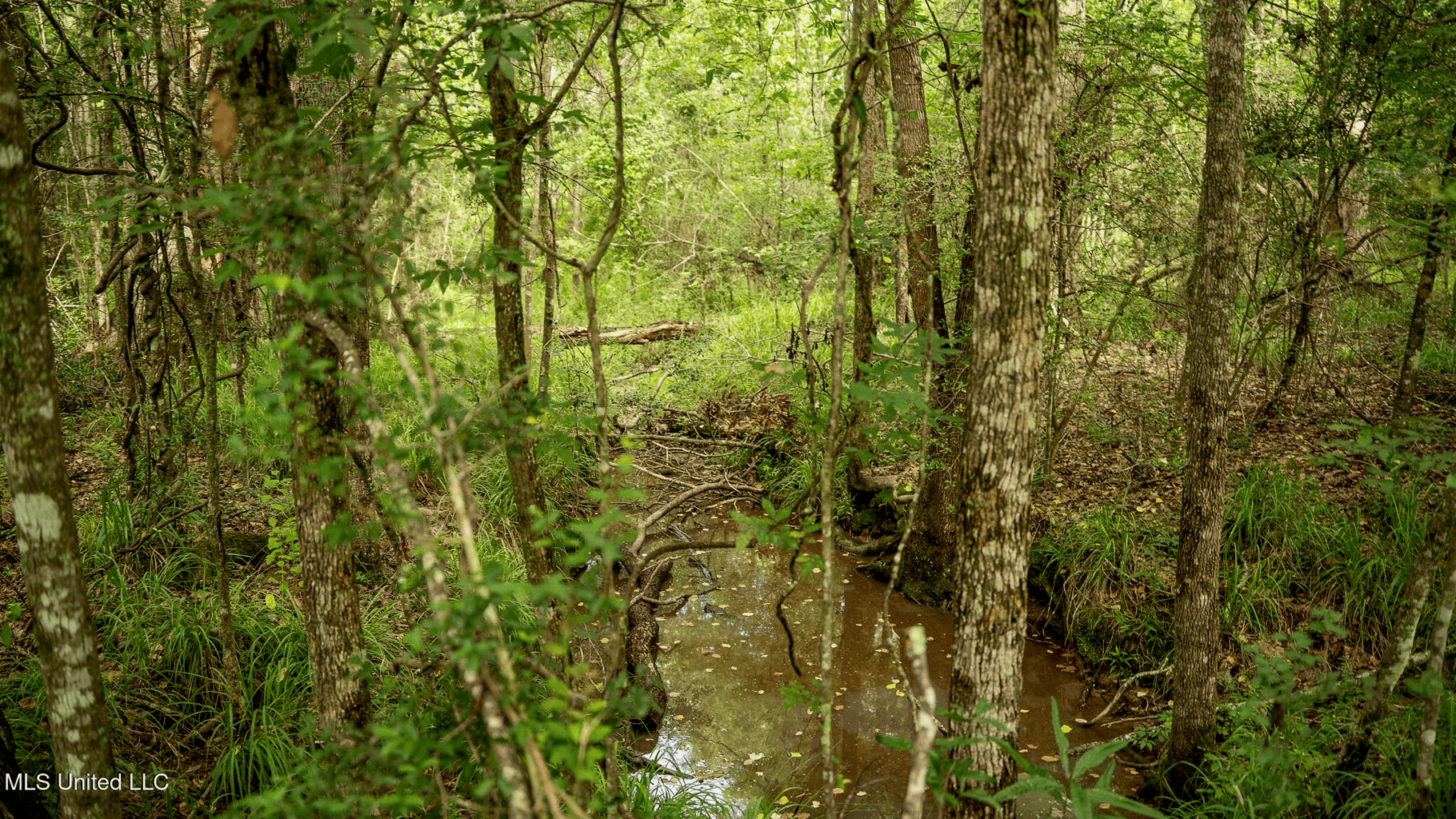 East Baton Rouge Recreational Land for Sale