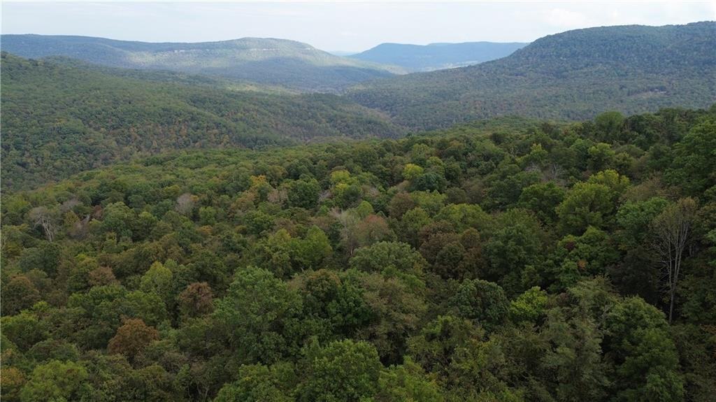 39.75 Newton County Hunting Land/Timber Property For Sale Low Gap