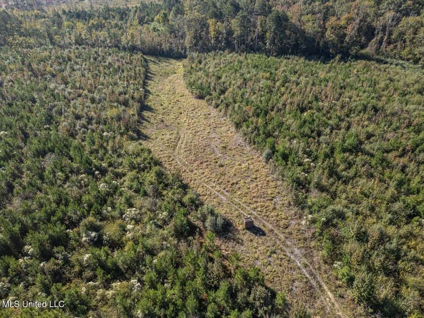 113 Acres of Hunting Land in Liberty, Mississippi
