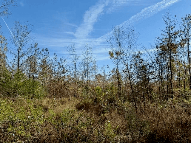 76 Acres For Sale Clay County MS