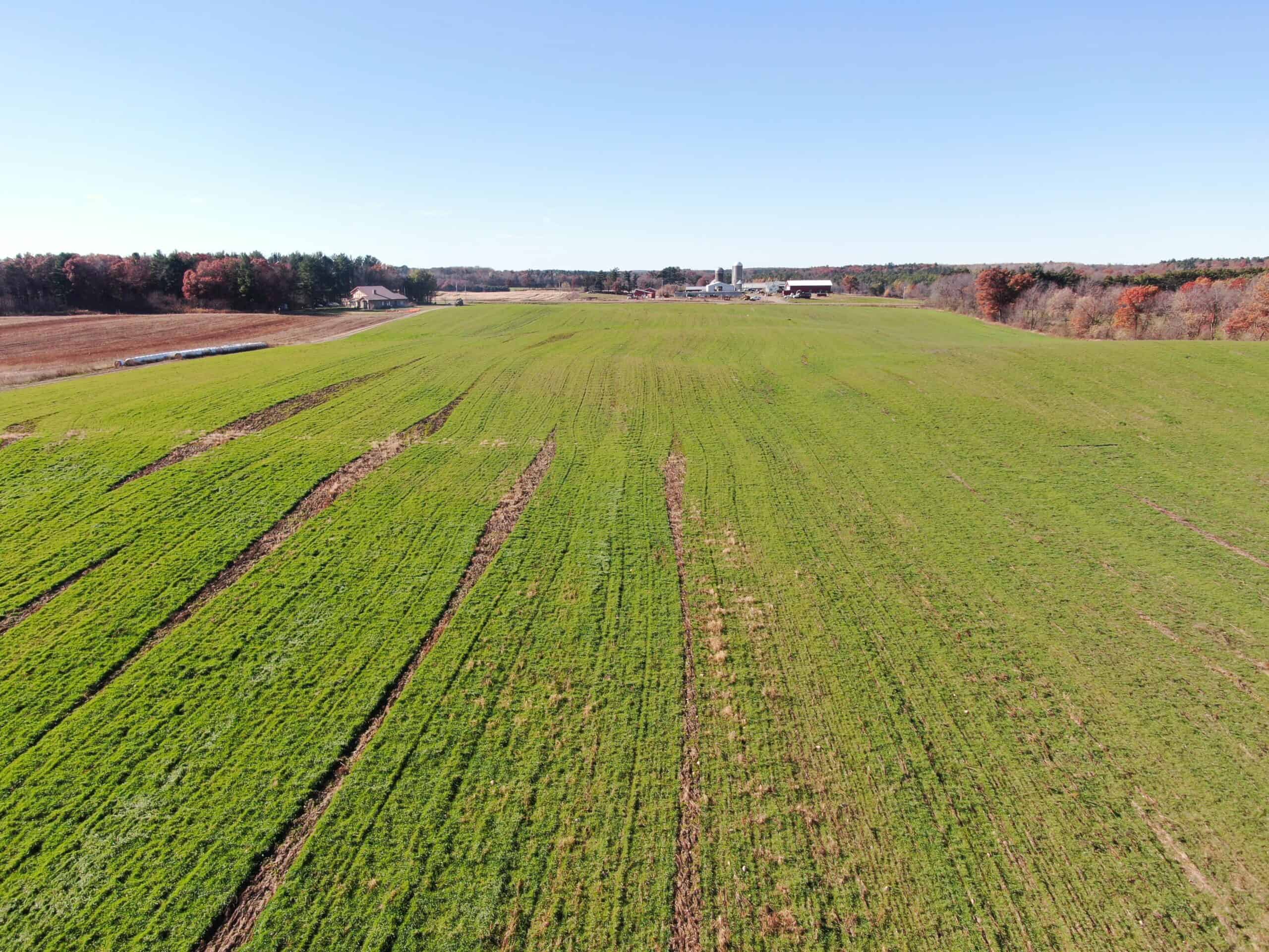 75± Acres of Productive Farmland Property in Portage County, WI