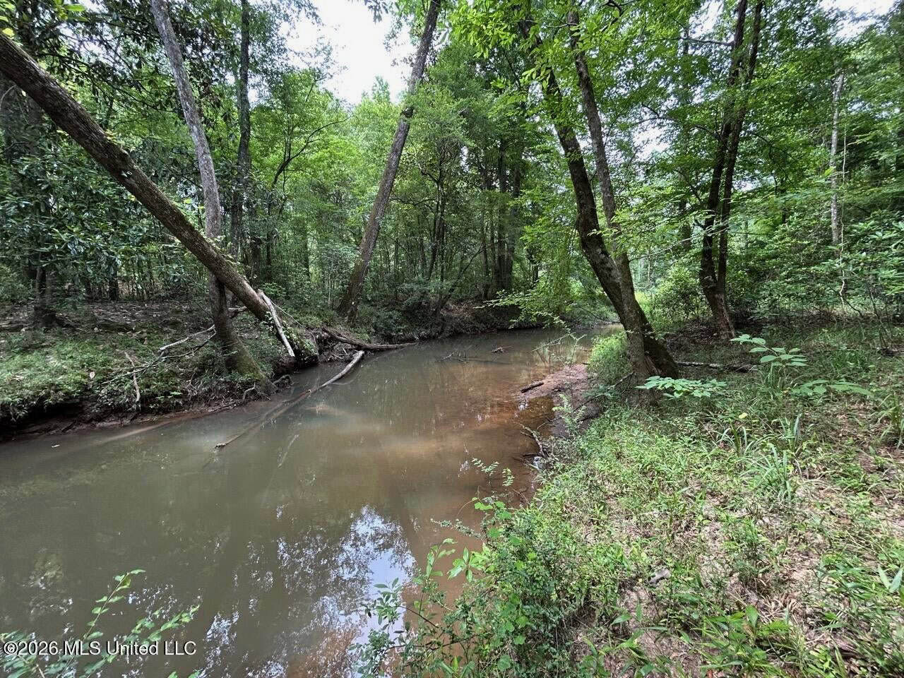 113± Acres for Sale in Osyka, MS on Tickfaw River