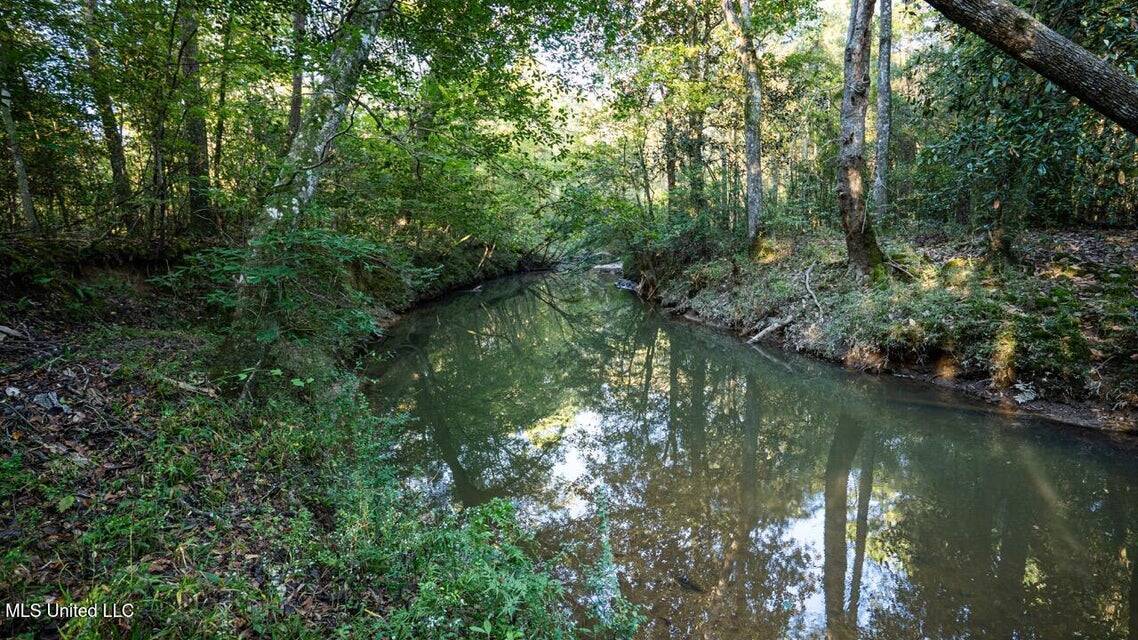 233-Acre Paradise on the Tickfaw River, Osyka, Amite County, MS
