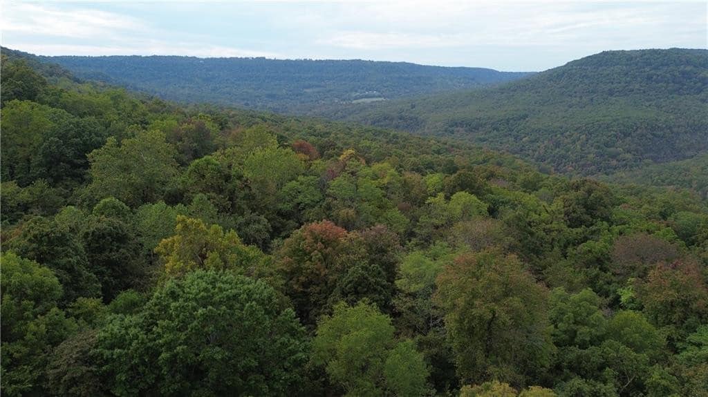 39.75 Newton County Hunting Land/Timber Property For Sale Low Gap