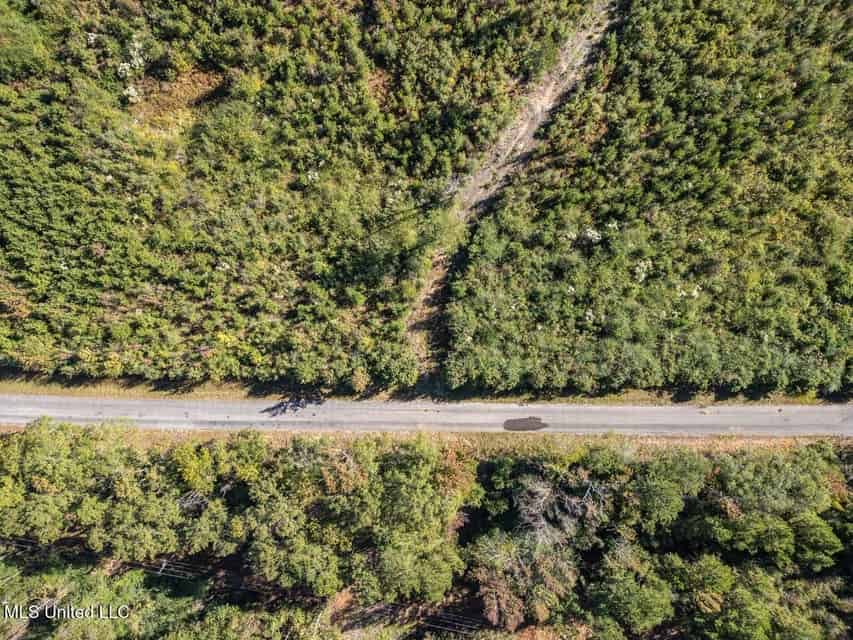 113 Acres of Hunting Land in Liberty, Mississippi