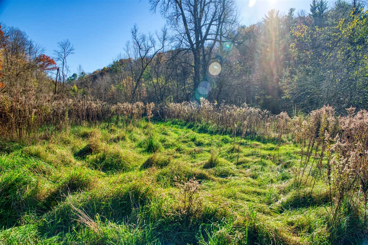 Windy Ridge – Conservation Homestead – 187 ± Acres in Monroe County’s Driftless Area of Wisconsin