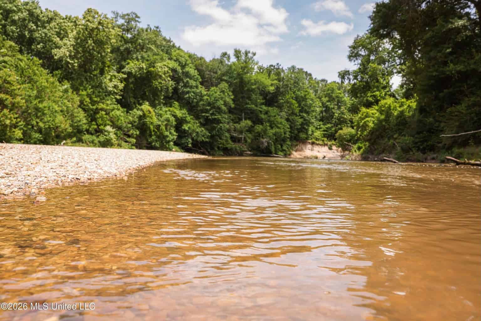 108+- Acres on the Bogue Chitto River Summit, Mississippi
