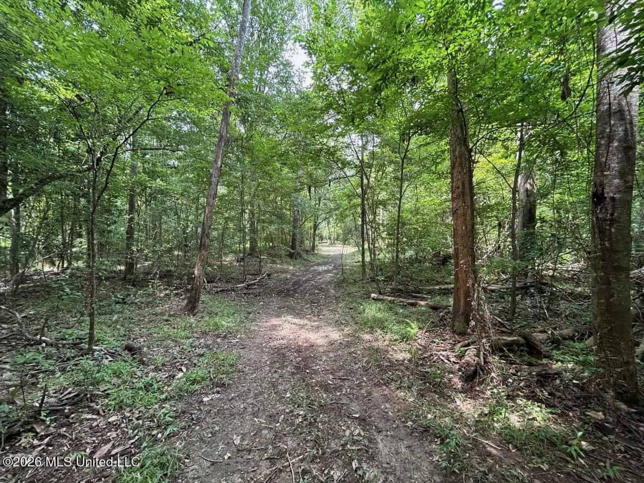 113± Acres for Sale in Osyka, MS on Tickfaw River