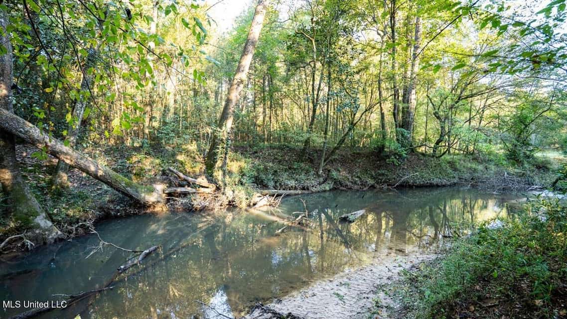 233-Acre Paradise on the Tickfaw River, Osyka, Amite County, MS