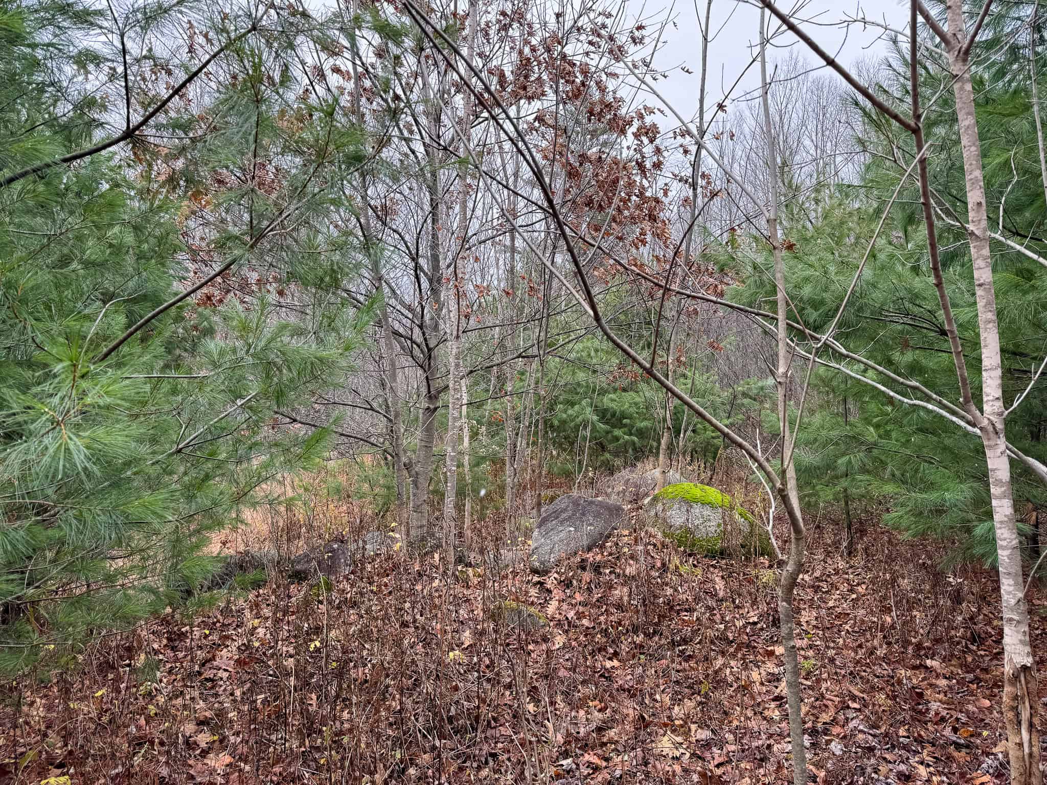 82 Acres with a Mountain View – Strong, Maine