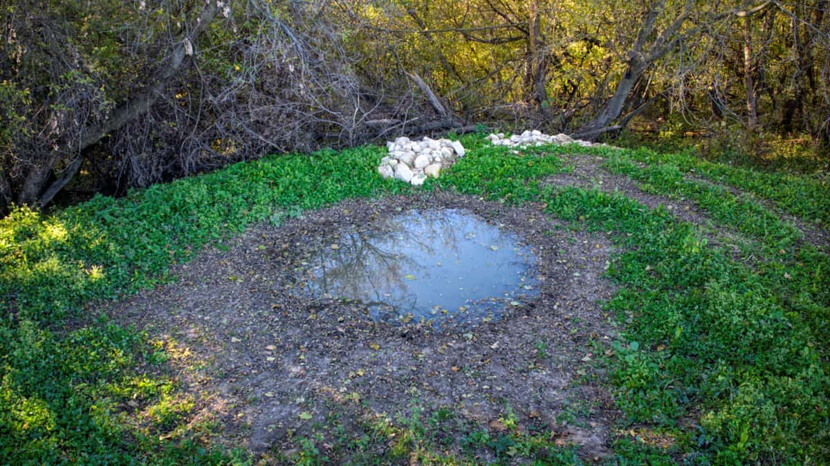 252± Acre Legacy Estate in Trempealeau County WI