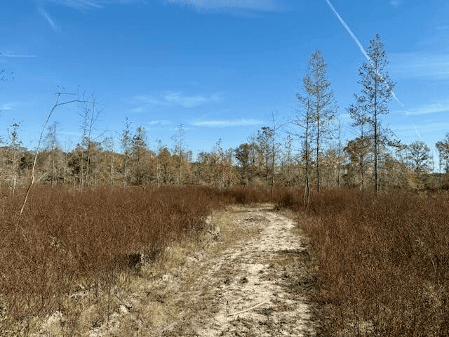 76 Acres For Sale Clay County MS