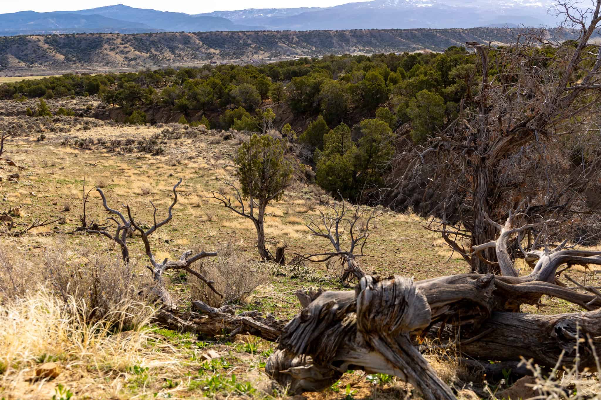278± Acre Horsefly Ranch