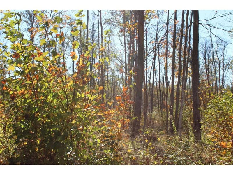 Northwoods Paradise w/ Trails & Ponds For Sale in Isle, MN